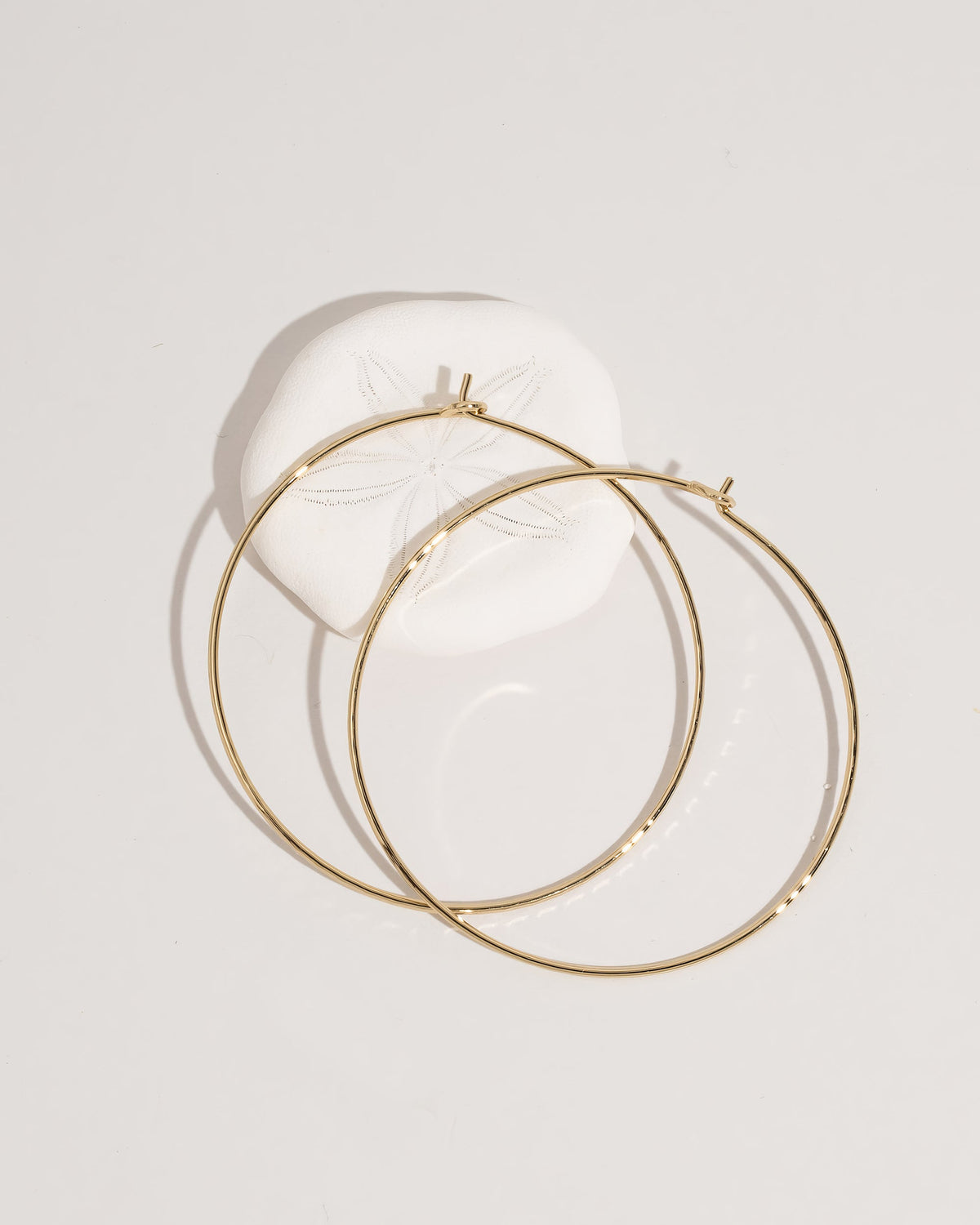 Hoop Earrings