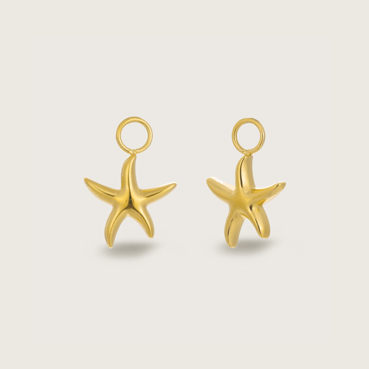 Sylvie | Women Textured Starfish Earring Charms