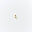 A small gold filled seashell charm by LLUME Jewelry is centered on a plain white background—perfect for the Build a Charm Necklace or to personalize your own necklace collection.